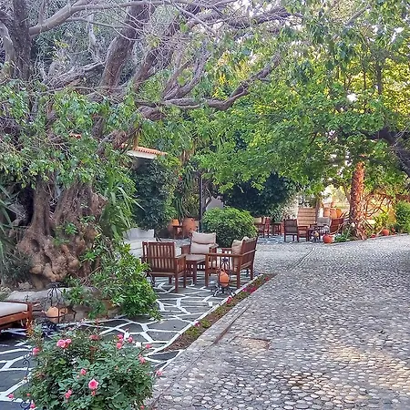 Oasis Rhodes 3* Afantou